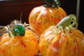 pumpkins1